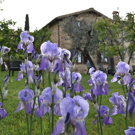 Casa Vacanze Porta Vecchia Montalcino Ngoại thất bức ảnh